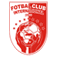 International Curtea de Arges