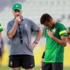 Lotul Braziliei pentru Cupa Mondiala