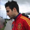 Euro 2012: Fabregas nu s-a "comparat niciodata cu Messi"