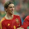 Euro 2012: Am facut un meci foarte bun, a apreciat Fernando Torres