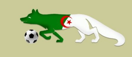 Romania-Algeria: Exoticele aventuri din Magreb-ul lui Zidane