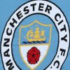 Steaua Bucuresti - Manchester City, in play-off-ul Ligii Campionilor