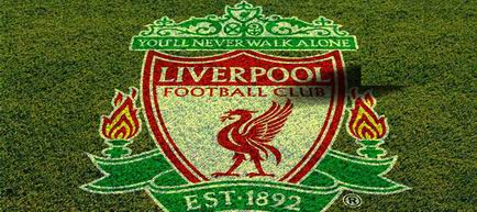 FC Liverpool anunță venituri record de 703 milioane de lire după sezonul titlului