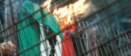 UDMR face un denunt penal, acuzand profanarea drapelului maghiar in timpul meciului de fotbal Olanda - Romania