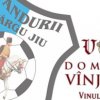 Domeniile Vanju Mare, sponsor oficial al echipei Pandurii