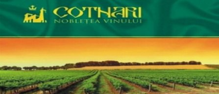 Compania Cotnari doreste sa achizitioneze marca Steaua