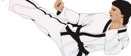 Jucator concediat dupa ce i-a aplicat o lovitura de karate unui arbitru