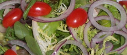 Euro 2012: Toxiinfectia alimentara din lotul Ucrainei, cauzata de o salata