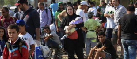 Dinamo Zagreb se alatura campaniei "Jucam pentru emigranti"