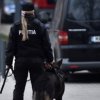 Câini poliţişti care detectează substanţele pirotehnice, la meciul cu Danemarca