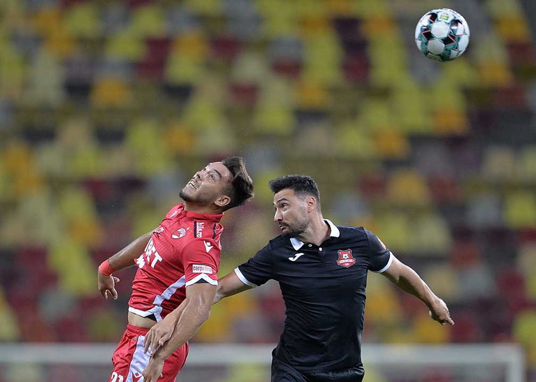 Poza Mihai Alexandru NEICUȚESCU